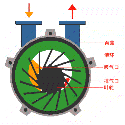 水環式真空泵/液環真空泵工作原理圖.gif